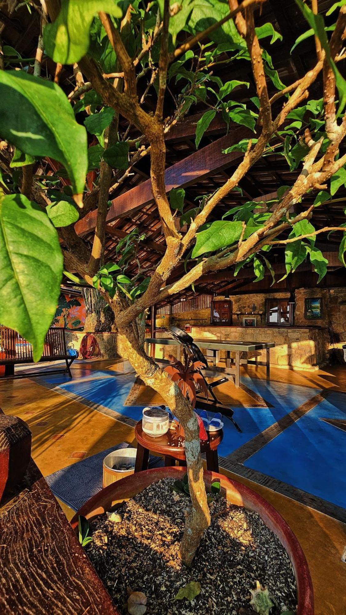 Guest house Casa Da Ilha &